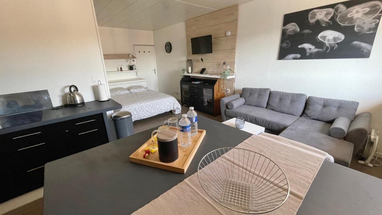 Studio Cocooning Hauteur De Saint-Raphael #2 מראה חיצוני תמונה
